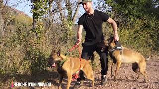 ENTRAINEMENT MALINOIS SIMPLE EFFICACE [upl. by Llenehs104]