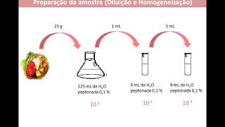 Microbiologia de alimentos Microrganismos Indicadores 1585417125 [upl. by Lemrej]