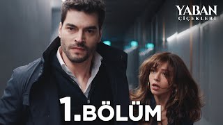 Yaban Çiçekleri 1 Bölüm atvturkiye [upl. by Winters]