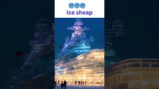 ice sheap shortvideo [upl. by Jorgenson]