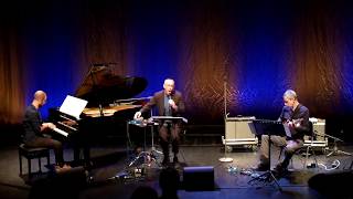 Theo Bleckmann Trio quotTeardropquot [upl. by Aidole]