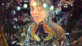 Cristas Icaros  Ayahuasca song 7 [upl. by Nowaj688]