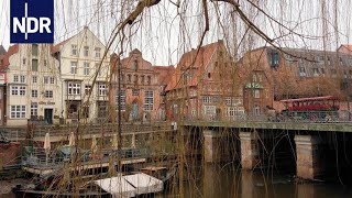 Lüneburg und die quotRoten Rosenquot  die nordstory  NDR [upl. by Stricklan90]