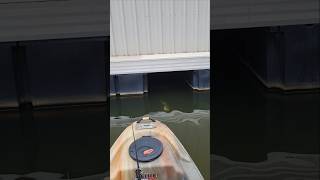 Spotted Bass Inhales Chatterbait on Lake Lanier [upl. by Audre]