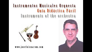 Instrumentos Musicales Orquesta  Guía Didáctica Fácil  Instruments of the orchestra [upl. by Oznecniv]