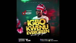 Dj Sidez  Igbo Kwenu Evergreen Mixtape IKEM IG amp TT deejaysidez [upl. by Lisk]