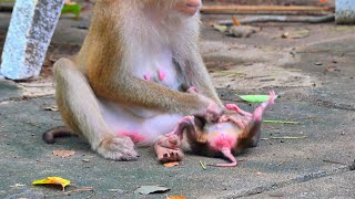 Poor Baby Crying To Request Mother For Pithiness Baby Doesnt Want To Loose Mother [upl. by Sobel]