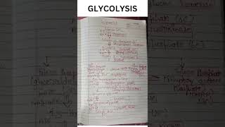 GLYCOLYSIS education [upl. by Anyg429]