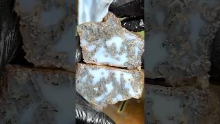 Cutting Boring Stone Reveals Moss Agate [upl. by Rauscher787]