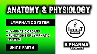 Lymphatic System  Lymph Nodes  Lymphatic Organs  Human Anatomy And Physiology  HAP [upl. by Melody688]