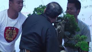 bonsai demo by Master Kunio Kobayashi amp Prof Amy Liang [upl. by Anuahs]