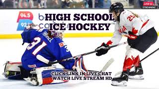 Westfield vs Trinity Hall  NJSIAA Girls Ice Hockey Live [upl. by Yot311]