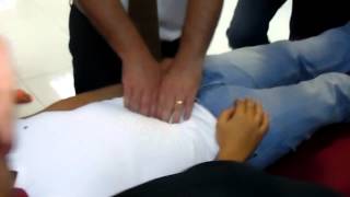 Osteopathy International course  Visceral Manipulation  Mesentry Technique [upl. by Willis142]