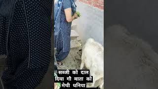 Sabji lae Ghar banane ke liye raste mein Gau Mata Mili hai usko sabji dal Diya [upl. by Duleba]