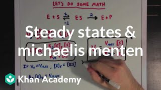 Steady states and the Michaelis Menten equation  Biomolecules  MCAT  Khan Academy [upl. by Haldane]