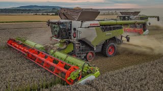 Claas Lexion 8900TT 8700TT  Horsch AgroVation Knezmost [upl. by Bottali]