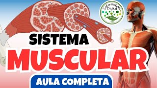 SISTEMA MUSCULAR  AULA COMPLETA  ENFERMAGEM DIGITAL [upl. by Akemot525]