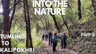 Sandakphu Trek  Tumling to Kalipokhri Trek [upl. by Eemla549]