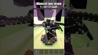 Minecraft enter dragon kill with dream in Minecraft best moment minecraft shorts [upl. by Noed]