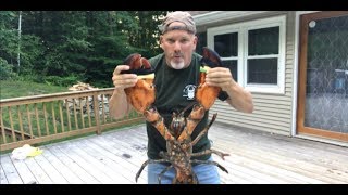 THE BIGGEST LOBSTER I’VE EVER COOKED [upl. by Hctud]