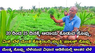 ಮೆಂತೆ ಸೊಪ್ಪು ಬೆಳೆಯುವ ವಿಧಾನ  Menthe soppu  ಮೆಂತೆ ಸೊಪ್ಪು  feengreek leaves farming kannada menthe [upl. by Adamina]