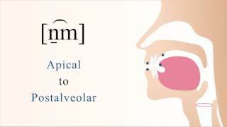 n̠͡m  voiced labialized apical postalveolar nasal stop [upl. by Htiekram]