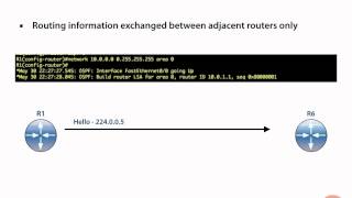 OSPF Neighbor Adjacencies [upl. by Esirahc179]