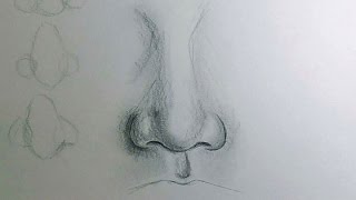 How to Draw a Nose [upl. by Zerdna715]