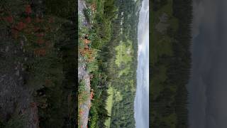 Paradise View Point Mount Rainier National Park WA USA [upl. by Yajiv451]