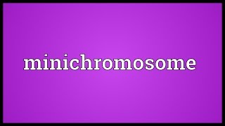 Minichromosome Meaning [upl. by Rufina]