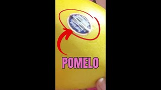 Grapefruit vs Pomelo  Which is Better [upl. by Xuerd56]