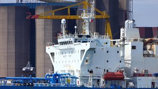 SHIPSPOTTING 2024  Relax in the harbour of Rotterdam [upl. by Jeremiah]