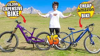 CHEAP AMAZON ELECTRIC BIKE VS EXPENSIVE TOP OF THE RANGE EMTB [upl. by Einegue]