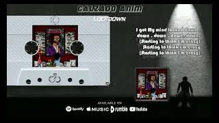 Calzado Anim  LOCKDOWN Official Quarantape Lyric Video [upl. by Laehctim]