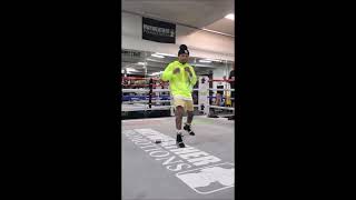 Gervonta quottankquot Davis déplacement en boxe anglaise [upl. by Selyn]