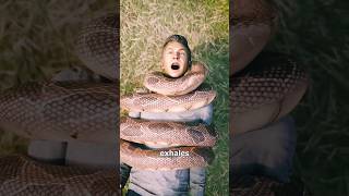 Anaconda Real or Fake ytshorts short [upl. by Einnim577]