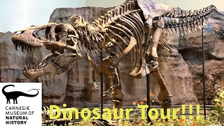 Carnegie Museum of Natural History “Dinosaurs in Their Time” Tour [upl. by Tail]