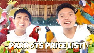 PARROTS PRICE LIST 2022  PRESYO NG MGA IBON [upl. by Ajaj545]