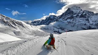 Sledging on Fresh Snow Grindelwald First  Schreckfeld  Bort Switzerland March 2024 [upl. by Noirod283]