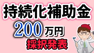 持続化補助金の採択発表・事業計画書の記載見本・小規模事業者・中小企業・個人事業主などが対象【中小企業診断士YouTuber マキノヤ先生】第1983回 [upl. by Euqilegna]