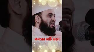 কবরের মাটি ছাড়াMizanur Rahman AzhariSmart Talkmizanurrahmanazhari waz short viralvideos [upl. by Naujit]