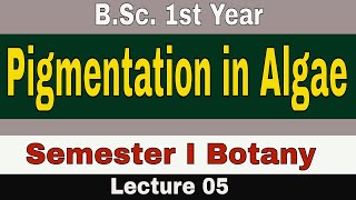 05 Algae  Pigmentation  General characters of Algae  BSc1st Year Sem I SGBAU Dr Chetna Ugale [upl. by Narton]