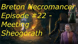 Breton Necromancer Game Play Episode 22 Cheese and cabbage for everyone [upl. by Annaej861]