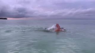 THE WORLD’S BEST OPEN WATER SWIMMING TECHNIQUE [upl. by Per451]