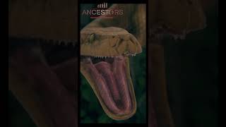 Ancestors the humankind odissey cinematic [upl. by Socin]