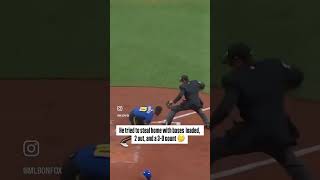 Stealing home with a 30 count bases loaded 🤔 mariners mlb [upl. by Hsejar80]