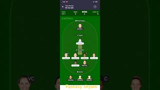 PERW vs MEBW Today Match Dream 11 Team PredictionperwvsMebw todaymatchprediction dream11team [upl. by Levina]