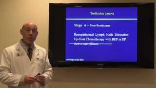 Treatment for Testicular Cancer Dr Mark S Litwin  UCLAMDChat [upl. by Adriaens]