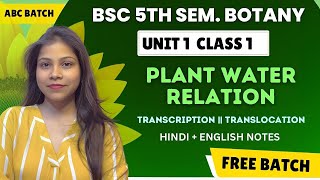 Plant water relation BSc 3rd year 5th semester paper 1 unit 1 in Hindi amp English 🔥💯 [upl. by Kristine]