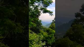 Kurseong Tour View music beautifulwestbengal kurseong travel [upl. by Suirradal460]